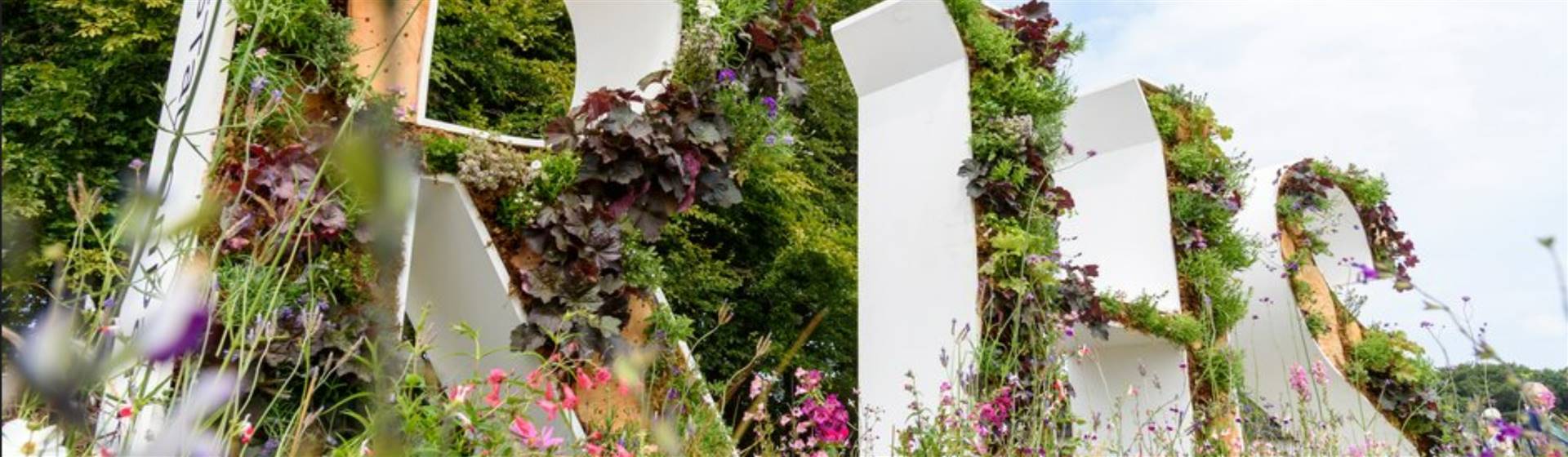 Harrogate Flower Show 26