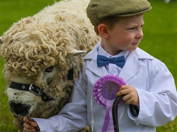 Great Yorkshire Show 